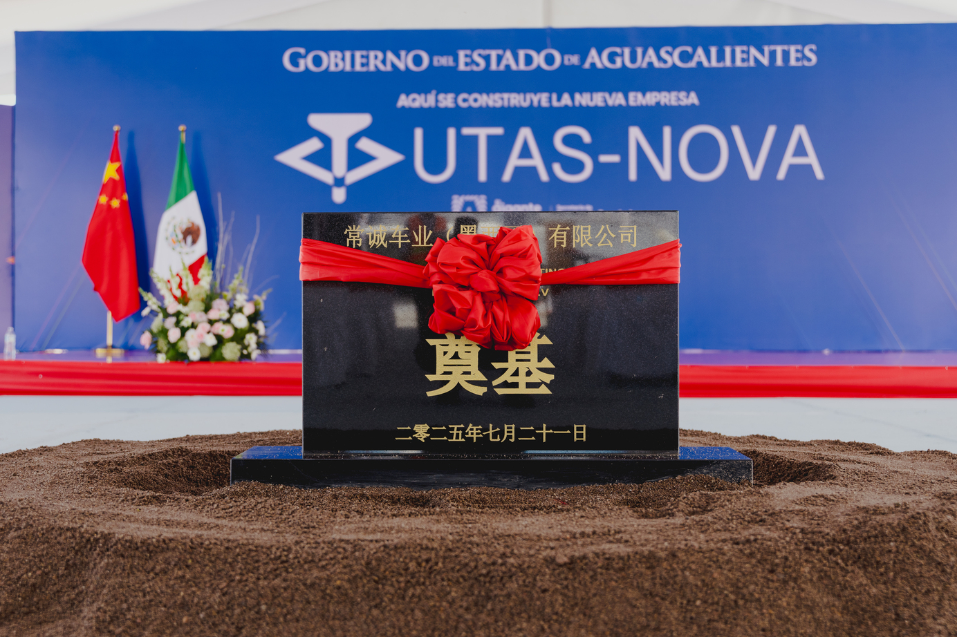 Dirección creativa y gestión integral